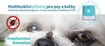 /uploaded/img/aktuality/2025/Pluslife/Pluslife_5_2025_akt.png